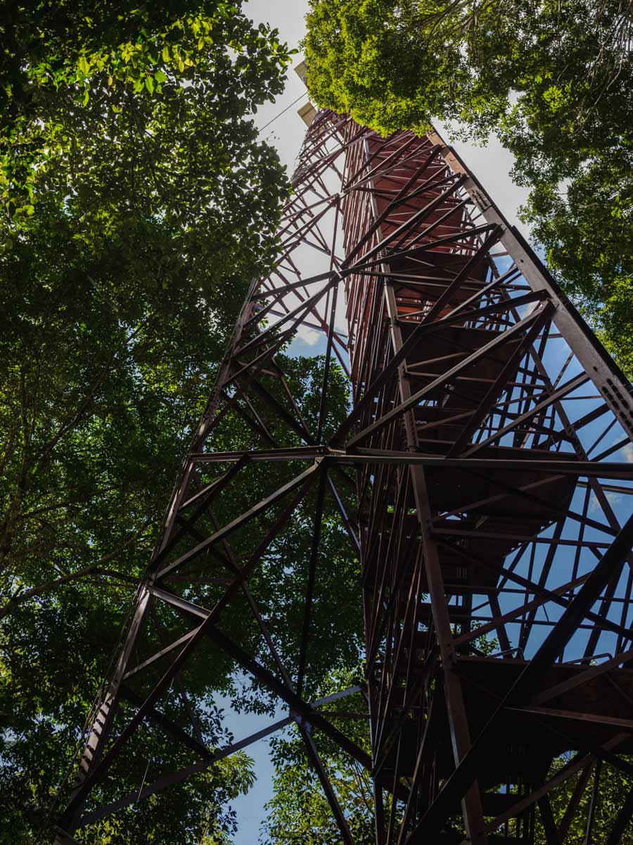 Scientific Tower