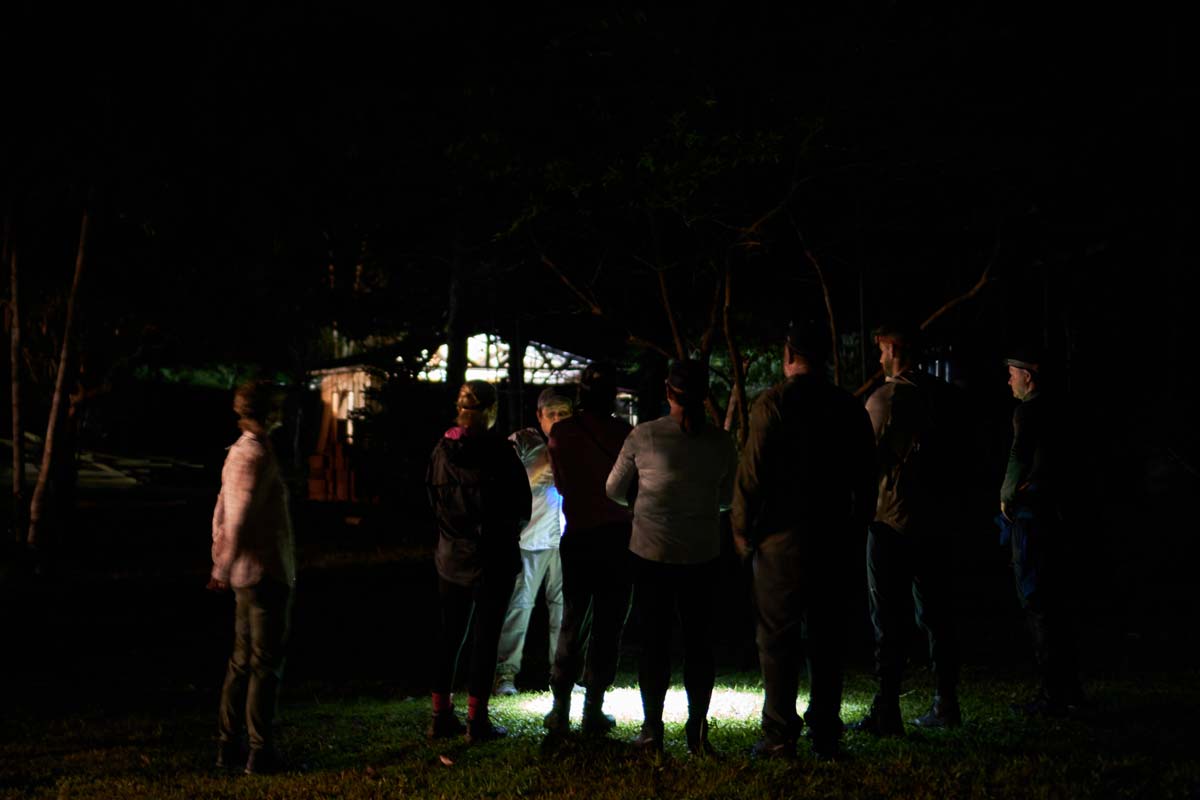 Jungle Night Walk